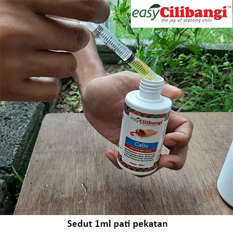 Sedut 1ml