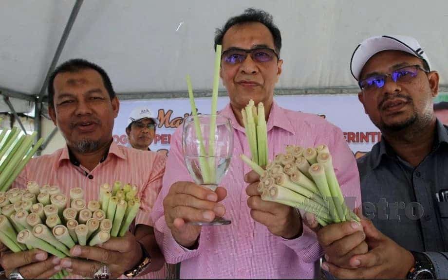 Buat Straw Serai