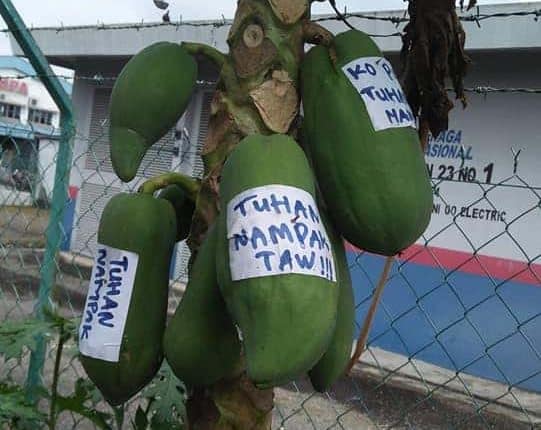 Betik hilang punya pasal